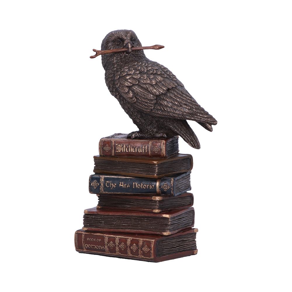 Bronze Spellcraft Witches Familiar Owl on Book Figurine Default Title - Figures & Collectables at Gift Moments