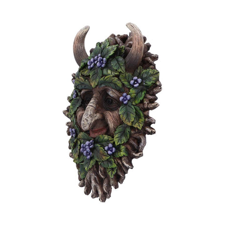 Alder Wall Mounted Tree Spirit 20.2cm - Wall Hanging Sculptures at Gift Moments