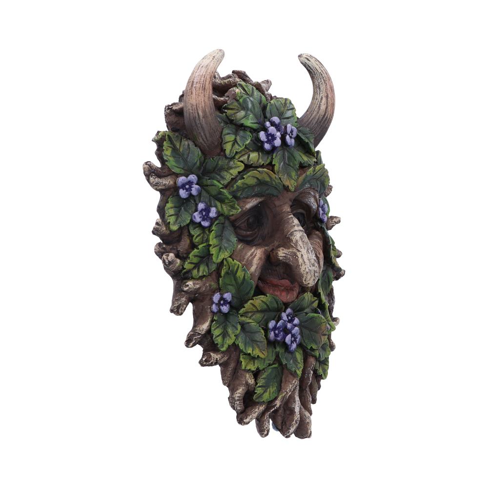 Alder Wall Mounted Tree Spirit 20.2cm - Wall Hanging Sculptures at Gift Moments