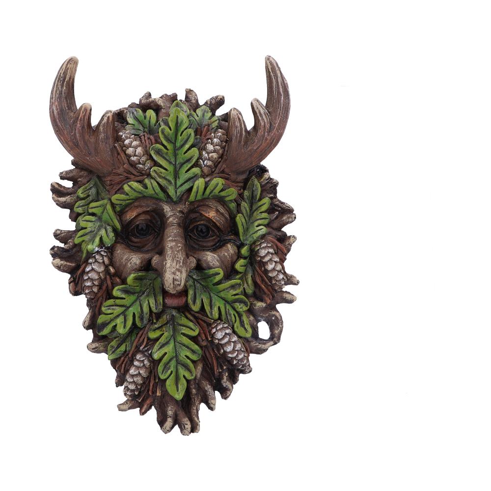 Bryn Wall Mounted Tree Spirit 20.8cm Default Title - Wall Hanging Sculptures at Gift Moments