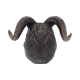 Diabolus Horned Skull 18cm - Figures & Collectables at Gift Moments