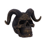 Diabolus Horned Skull 18cm Default Title - Figures & Collectables at Gift Moments