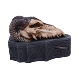 Dragon Skull Box (Monte Moore) 17.7cm - Boxes at Gift Moments