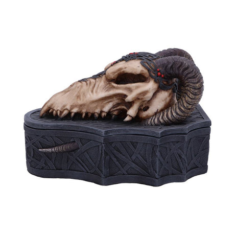 Dragon Skull Box (Monte Moore) 17.7cm Default Title - Boxes at Gift Moments