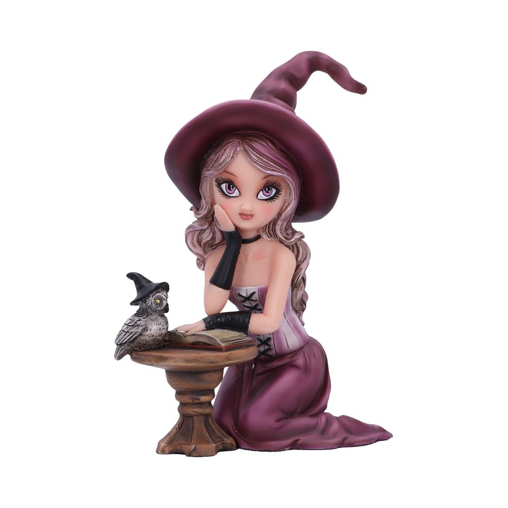 Agatha Witch Figurine 15cm Default Title - Figures & Collectables at Gift Moments