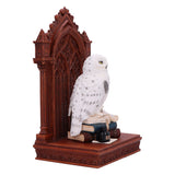 The Scribe's Companion Enchanting Owl Ornament - Figures & Collectables at Gift Moments