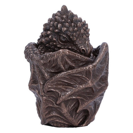 Bronze Dragon Snuggle Box - Boxes at Gift Moments