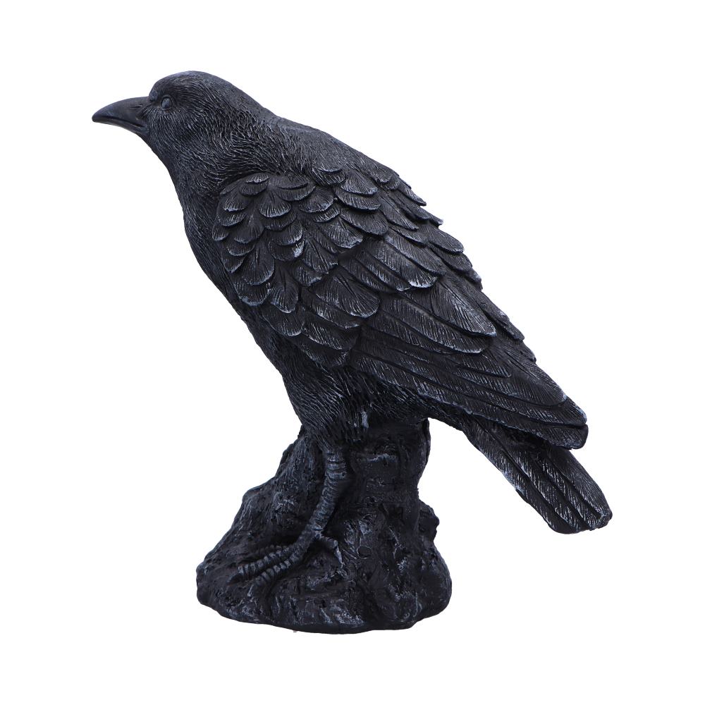 Raven Messenger Figurine 25cm - Figures & Collectables at Gift Moments