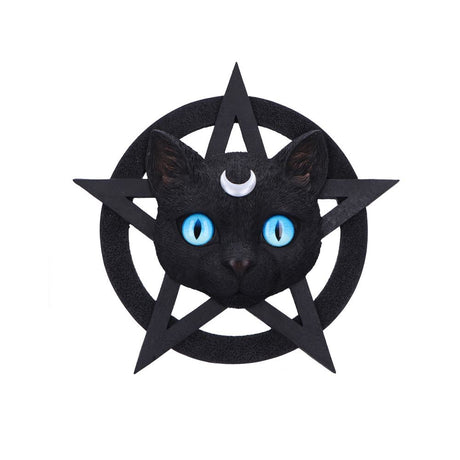 Feline Worship Cat Pentagram Wall Plaque 25.5cm Default Title - Wall Hanging Sculptures at Gift Moments