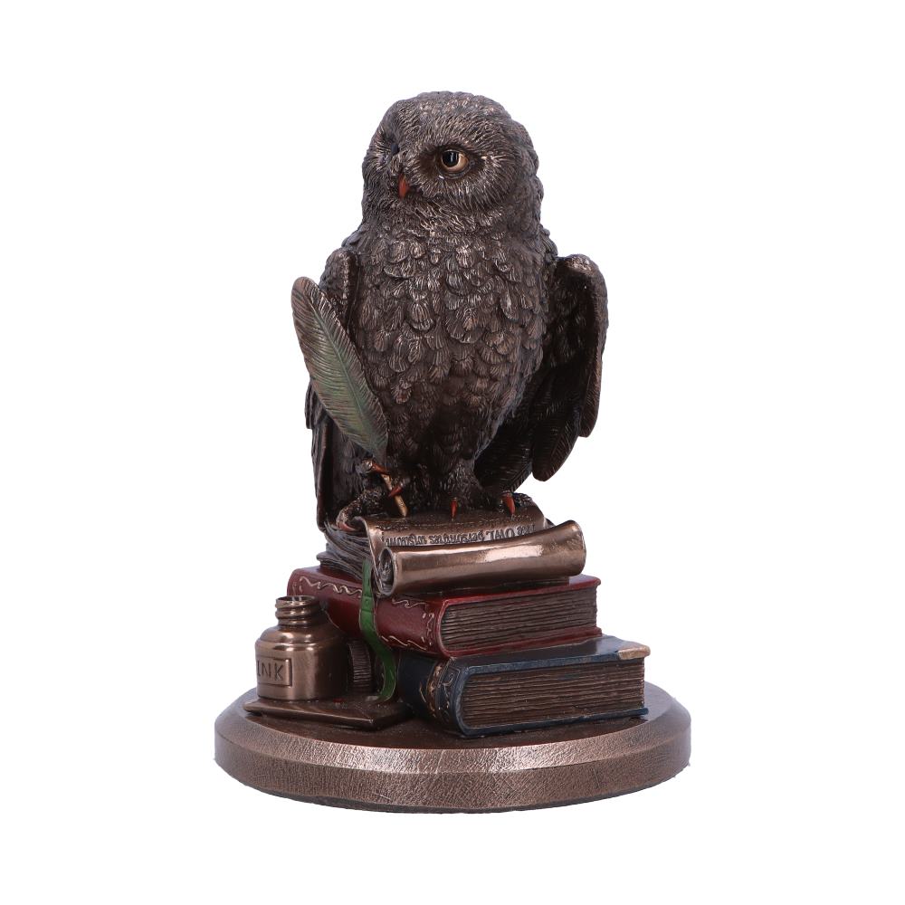 An Owl's Tale Bronze Figurine - Figures & Collectables at Gift Moments