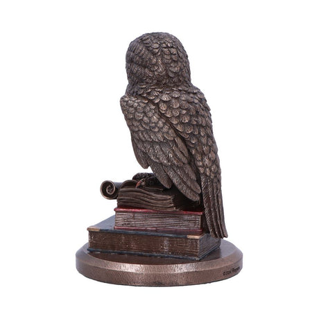 An Owl's Tale Bronze Figurine - Figures & Collectables at Gift Moments