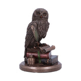 An Owl's Tale Bronze Figurine Default Title - Figures & Collectables at Gift Moments