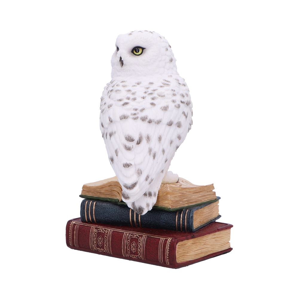 Library of Wisdom White Owl Figurine - Figures & Collectables at Gift Moments