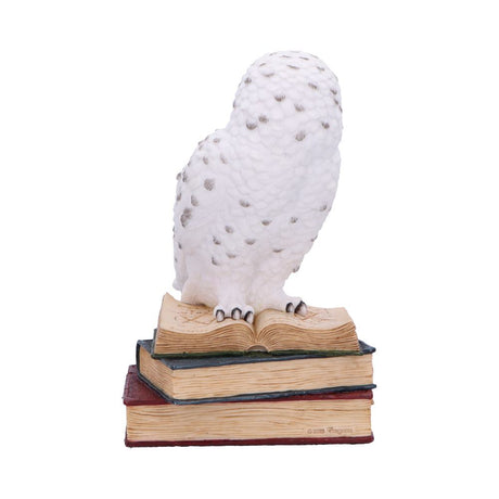 Library of Wisdom White Owl Figurine - Figures & Collectables at Gift Moments