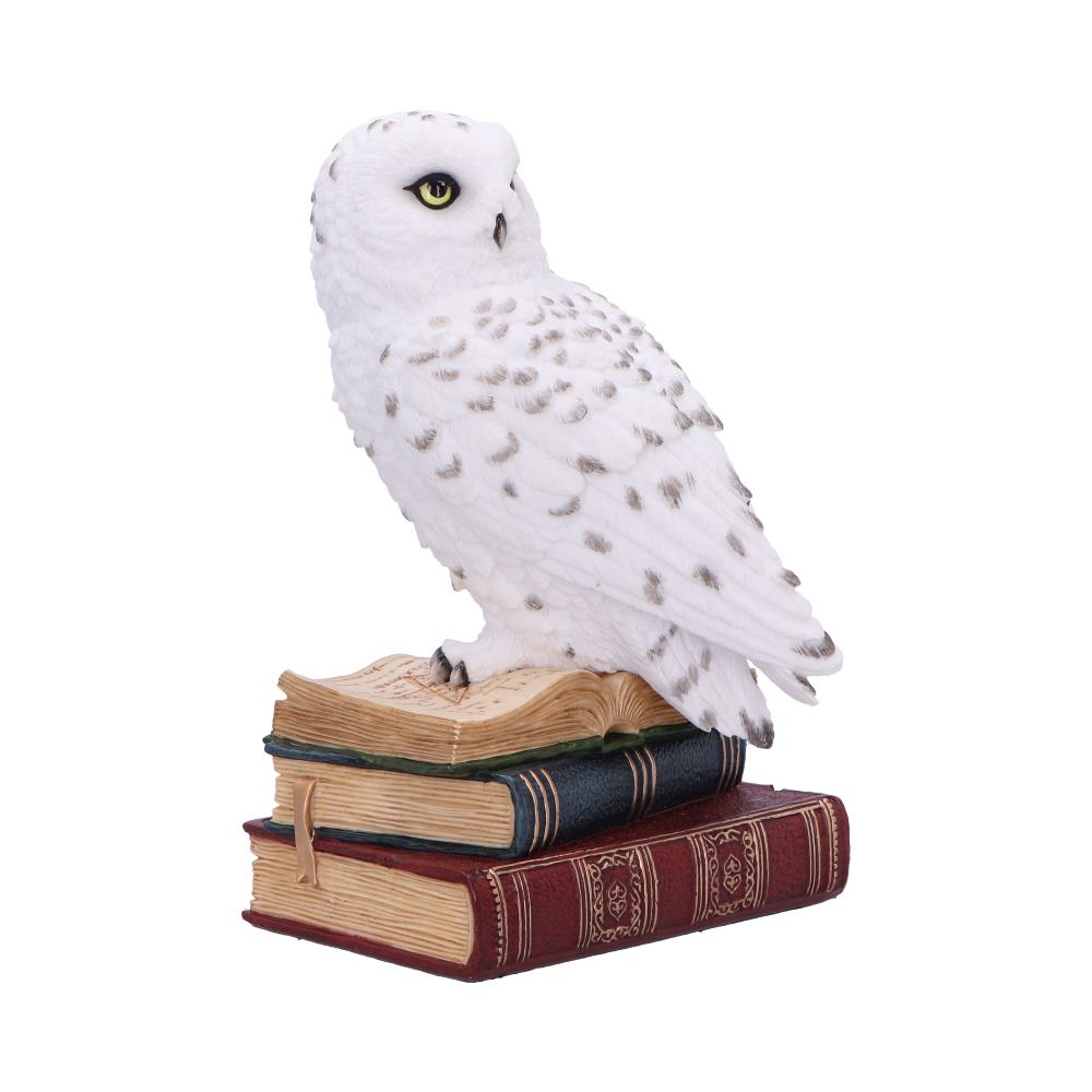 Library of Wisdom White Owl Figurine - Figures & Collectables at Gift Moments