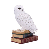 Library of Wisdom White Owl Figurine - Figures & Collectables at Gift Moments