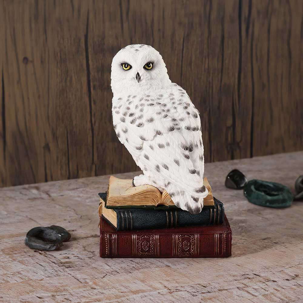 Library of Wisdom White Owl Figurine - Figures & Collectables at Gift Moments