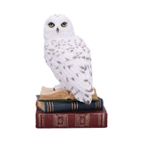 Library of Wisdom White Owl Figurine Default Title - Figures & Collectables at Gift Moments