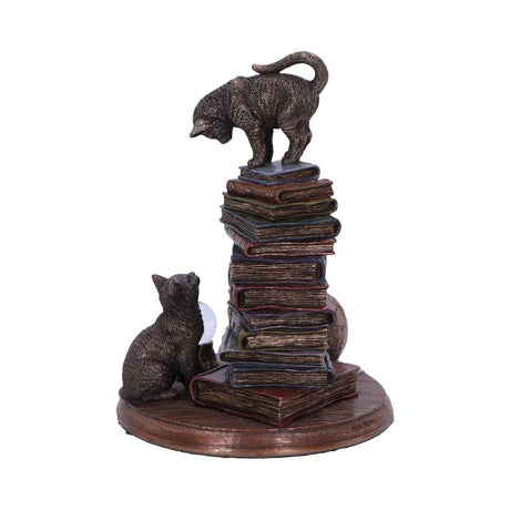 Feline Scholars Bronze Cat Ornament - Figures & Collectables at Gift Moments