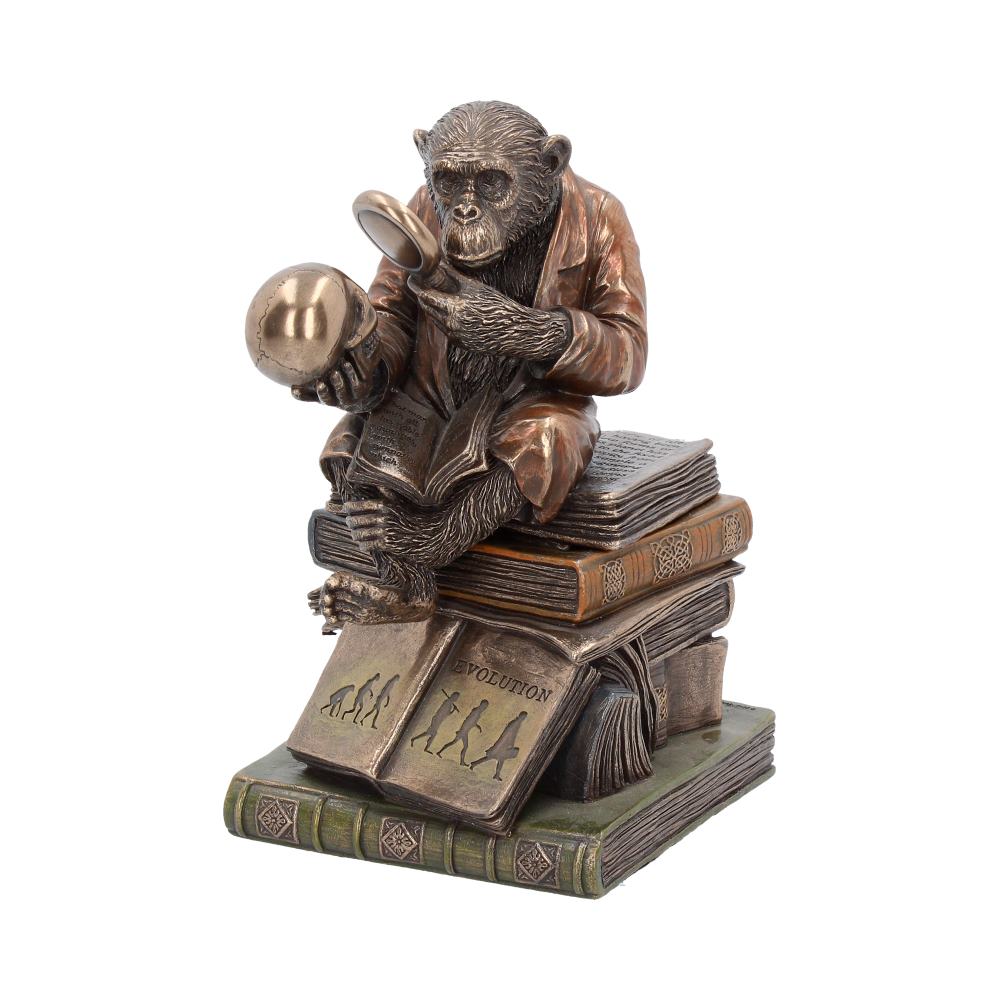 Darwinism of Evolutionary Theory Figurine Charles Darwin Chimpanzee Ornament: 2 - Boxes By Gift Moments