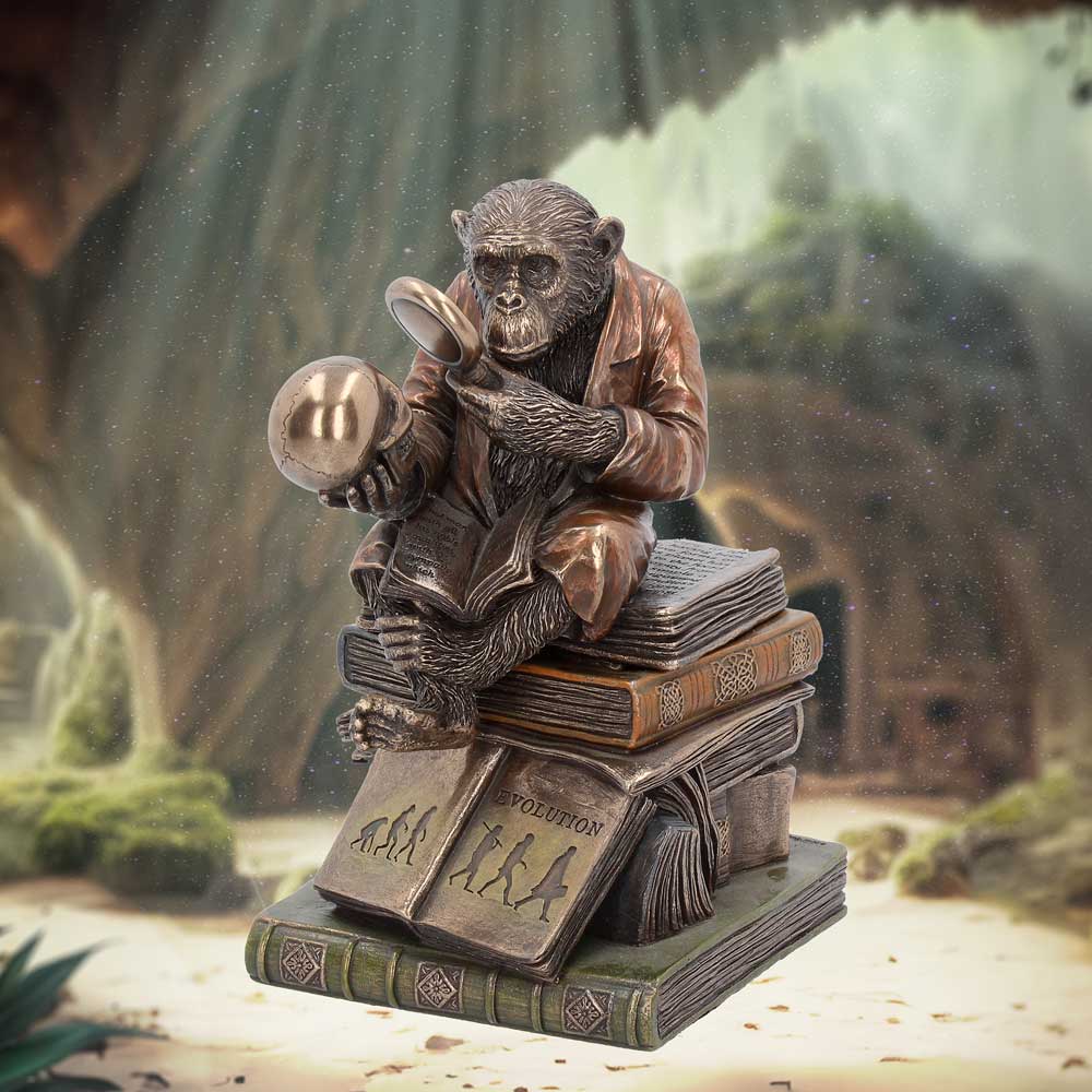 Darwinism of Evolutionary Theory Figurine Charles Darwin Chimpanzee Ornament: 1 - Boxes By Gift Moments