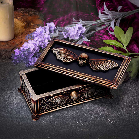 Death’s Head Treasure Ornamental Box: 1 - Boxes By NN Designs