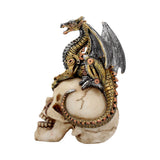 Dragon’s Grasp Steampunk Skull and Dragon 18.5cm: 3 - Figures & Collectables By Gift Moments