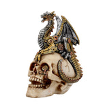 Dragon’s Grasp Steampunk Skull and Dragon 18.5cm: 2 - Figures & Collectables By Gift Moments