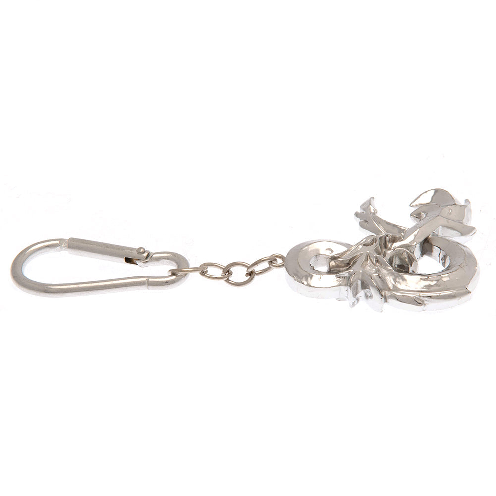 Dungeons & Dragons 3D Metal Keyring: 2 - Keyrings By Dungeons & Dragons