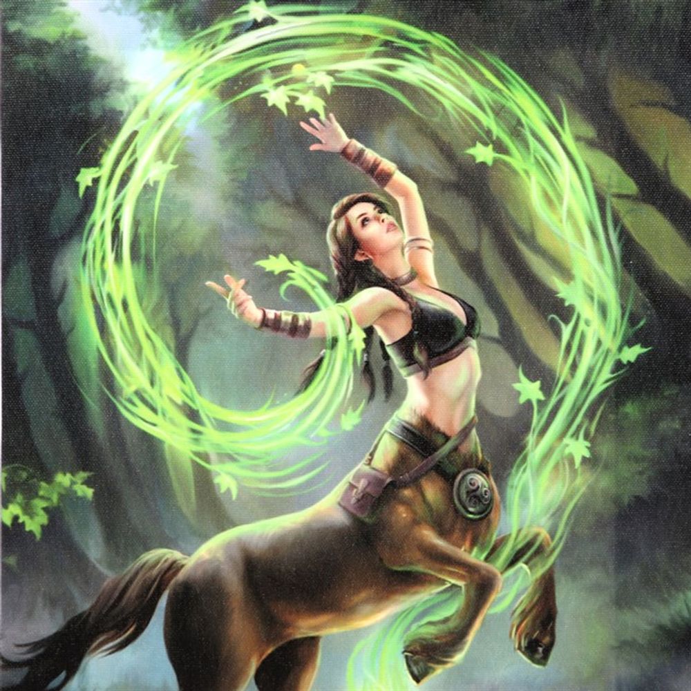 Earth Element Sorceress Canvas Art by Anne Stokes: 3 - Wall Art By Gift Moments