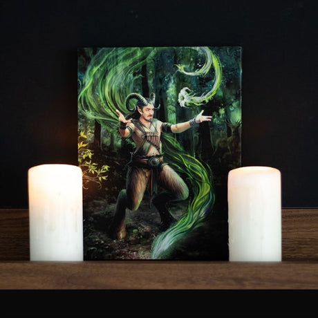 Earth Element Wizard Canvas Plaque by Anne Stokes: 1 - Wall Art By Gift Moments