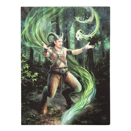 Earth Element Wizard Canvas Plaque by Anne Stokes: 2 - Wall Art By Gift Moments