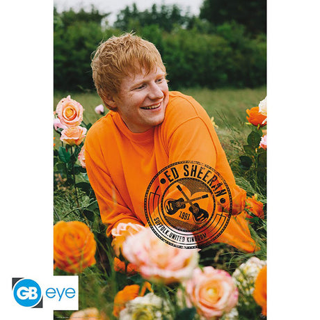 Ed Sheeran Poster Field 90: 1 - Posters By Ed Sheeran