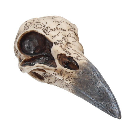 Edgar’s Raven Skull Figurine Edgar Allen Poe Ornament: 2 - Figurines Medium (15-29cm) By NN Designs