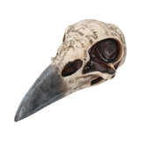 Edgar’s Raven Skull Figurine Edgar Allen Poe Ornament: 3 - Figurines Medium (15-29cm) By NN Designs