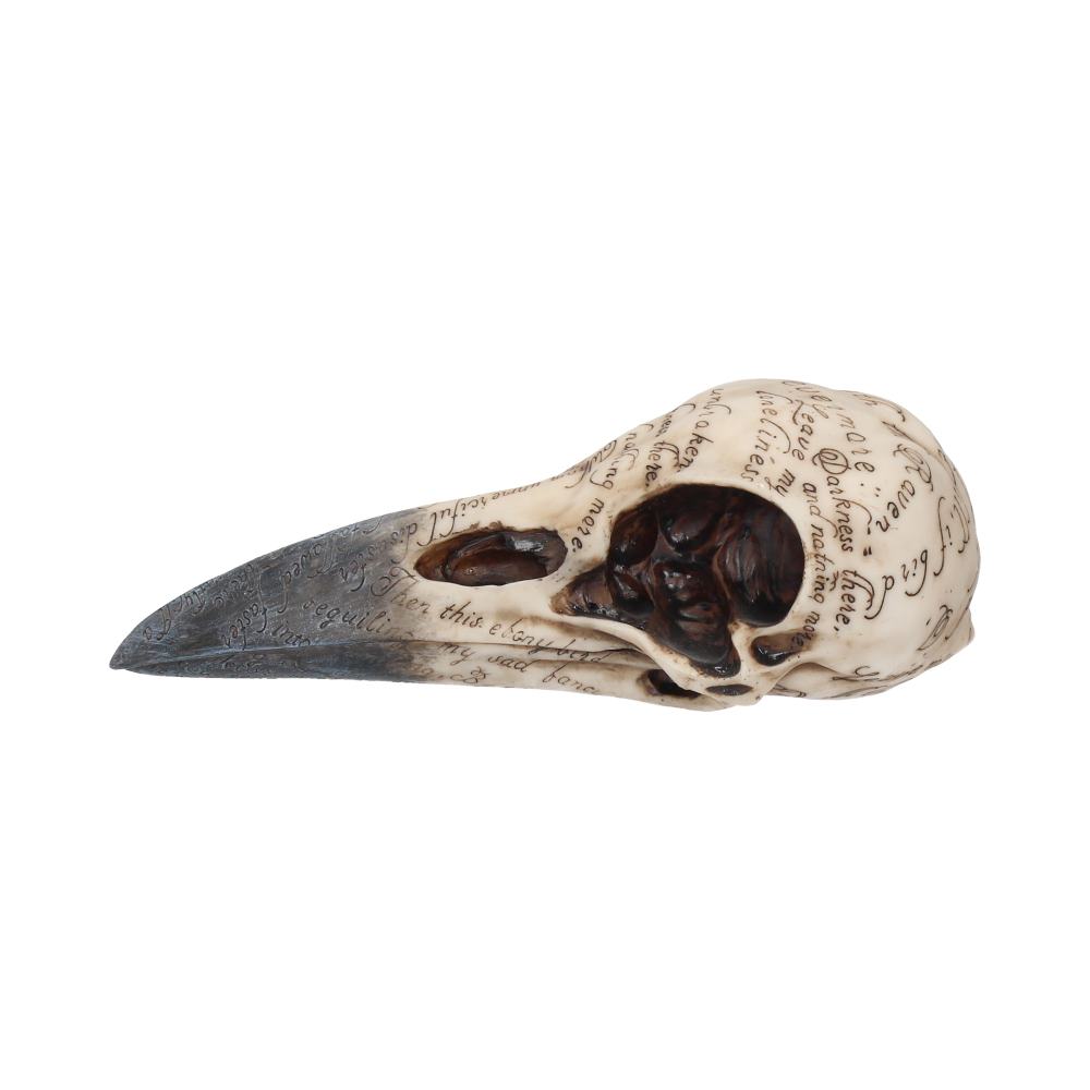 Edgar’s Raven Skull Figurine Edgar Allen Poe Ornament: 4 - Figurines Medium (15-29cm) By NN Designs