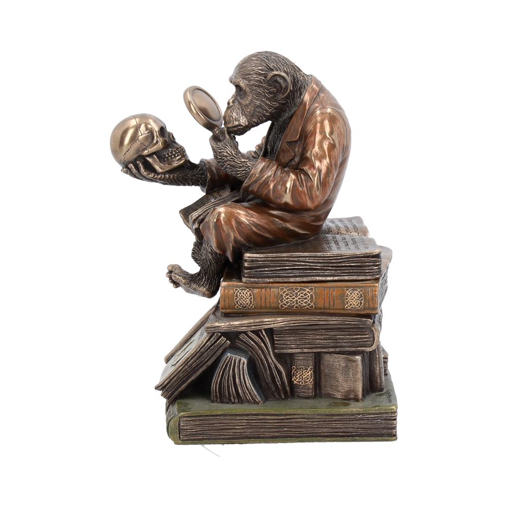 Darwinism of Evolutionary Theory Figurine Charles Darwin Chimpanzee Ornament - Boxes at Gift Moments