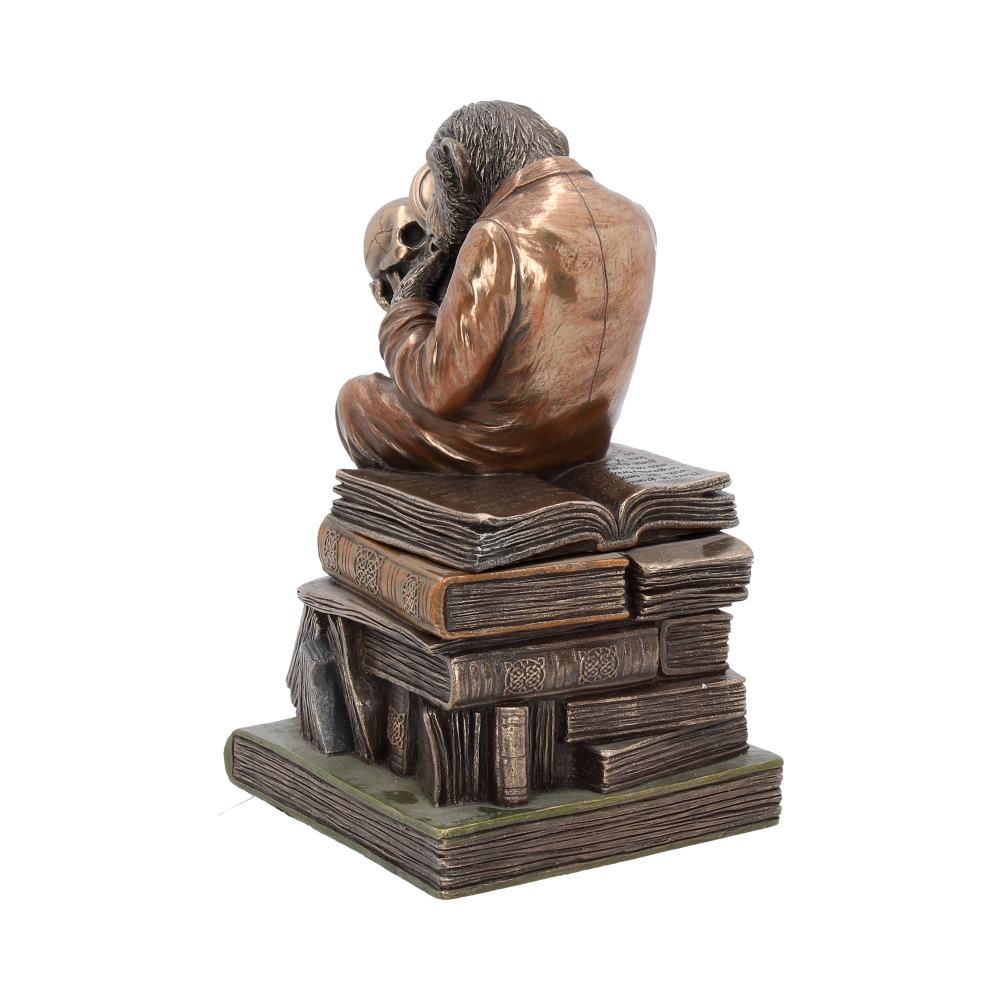 Darwinism of Evolutionary Theory Figurine Charles Darwin Chimpanzee Ornament - Boxes at Gift Moments