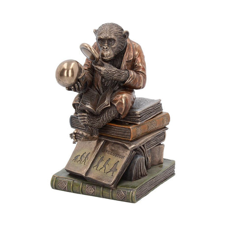 Darwinism of Evolutionary Theory Figurine Charles Darwin Chimpanzee Ornament Default Title - Boxes at Gift Moments