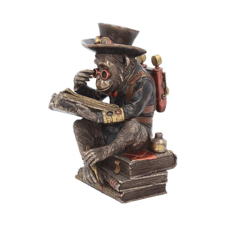 Steampunk Chimpanzee Scholar Figurine 19.5cm - Figures & Collectables at Gift Moments