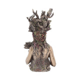 Bronzed Mother Earth Gaia Bust 26cm - Figures & Collectables at Gift Moments