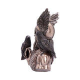 Bronze Odins Messengers Norse God Bust - Figures & Collectables at Gift Moments