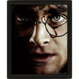 Harry Potter 3D Lenticular Framed Picture: 2 - Wall Art By Harry Potter