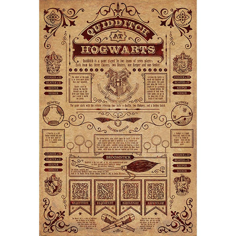 Hogwarts Quidditch Maxi Poster 61cm x 91cm: 1 - Posters By Harry Potter