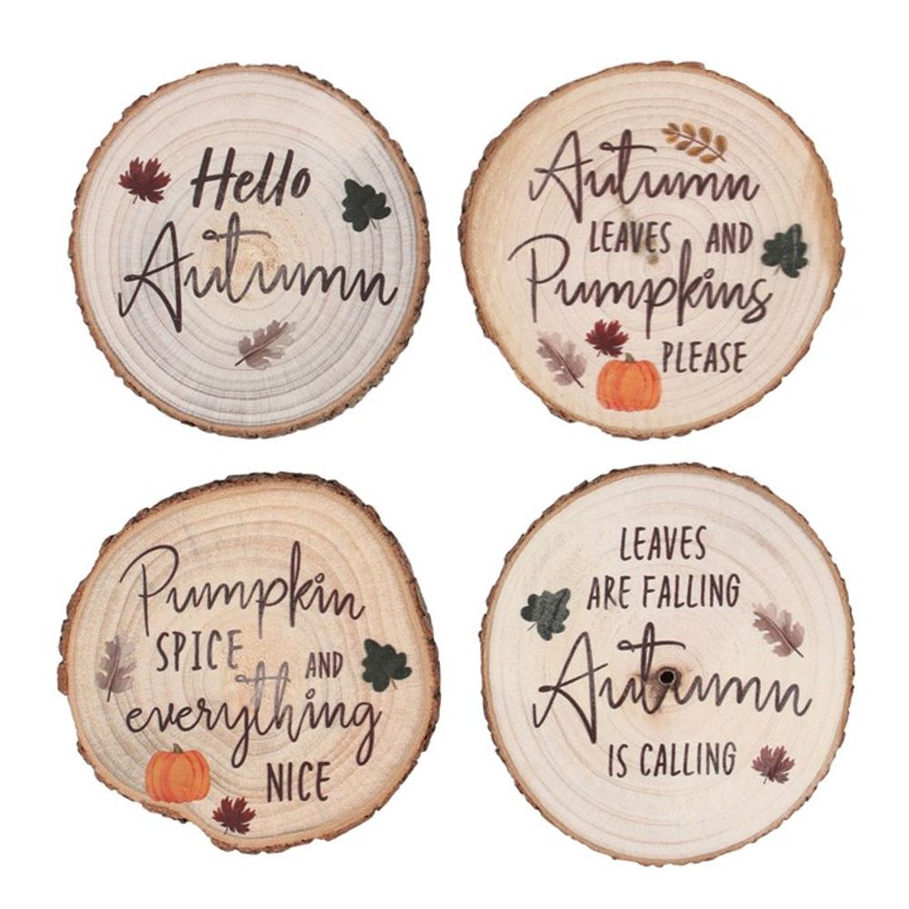 Autumn Wood Slice Coaster Set: 2 - Coasters By Gift Moments