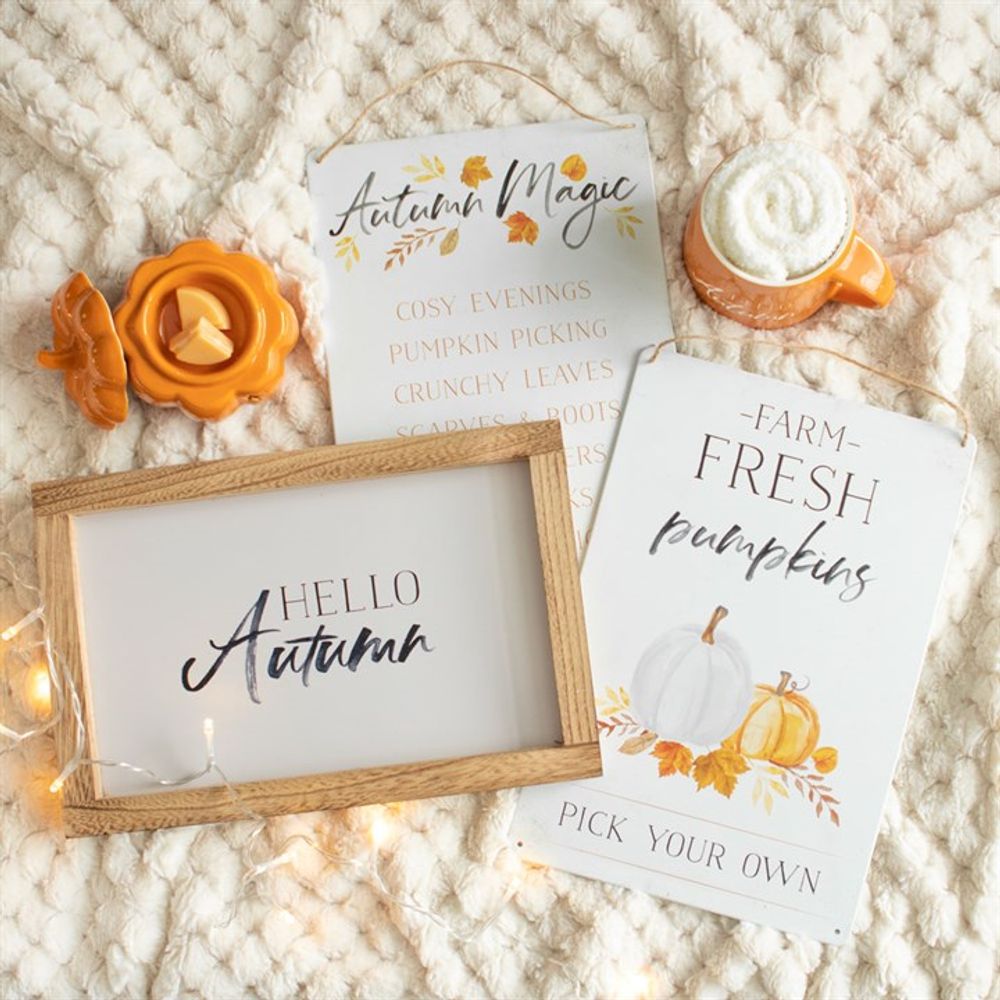 Hello Autumn Wooden Frame Decor Sign: 5 - Signs & Plaques By Gift Moments