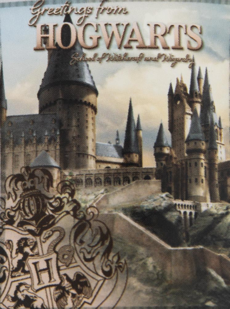 Hogwarts Castle Fleece Blanket: 4 - Blankets By Harry Potter