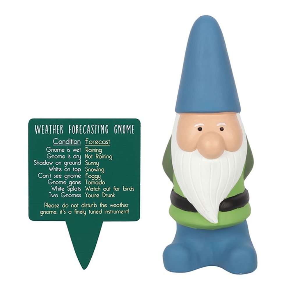 Weather Forecasting Gnome: 1 - Garden Ornaments By Gift Moments