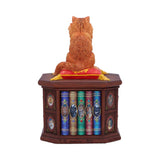 Lisa Parker Mad About Cats Storage Figurine: 4 - Boxes By Lisa Parker