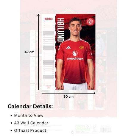 Manchester United FC 2025 A3 Wall Calendar: 5 - Calendars & Planners By Manchester United